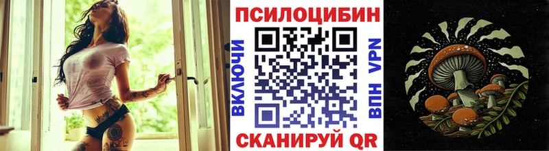 Псилоцибиновые грибы прущие грибы  Купить где  Троицк 